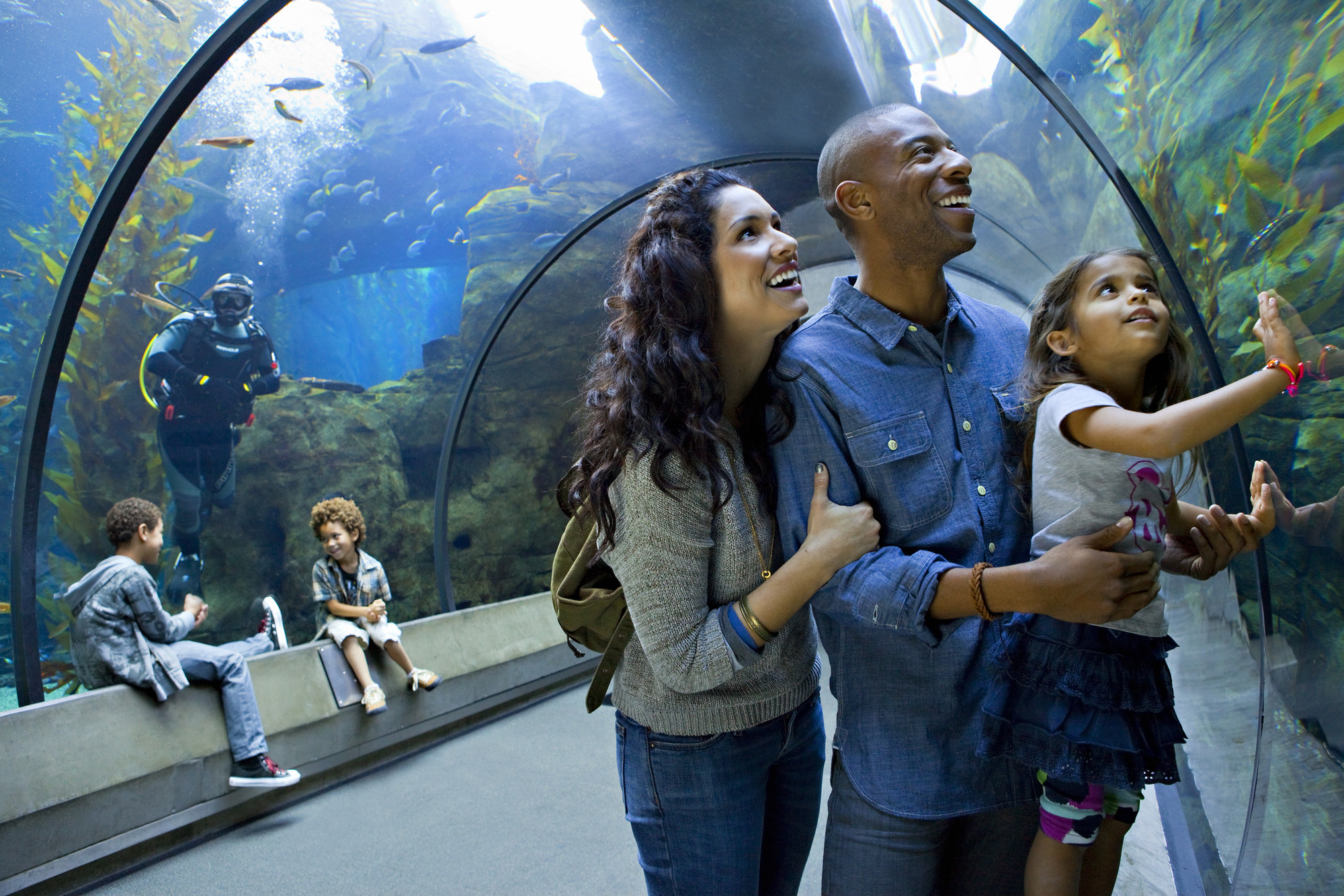 Family admiring fish in the Kelp Tank tunnel
