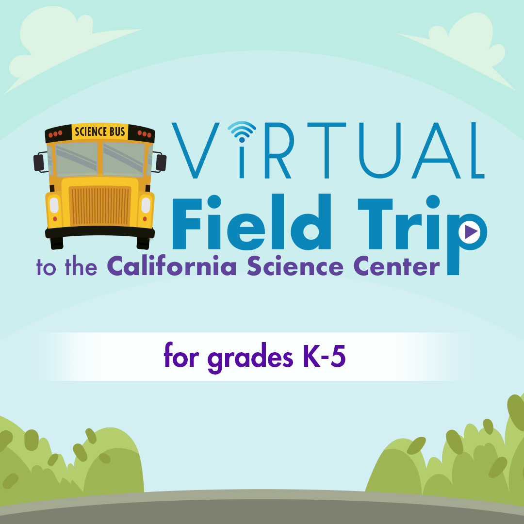 virtual field trips 5th grade