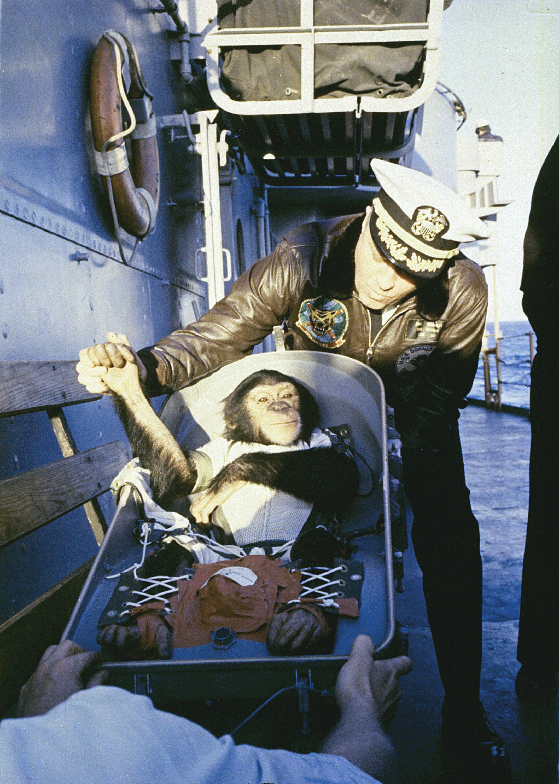 chimpanzee Ham after Mercury landing