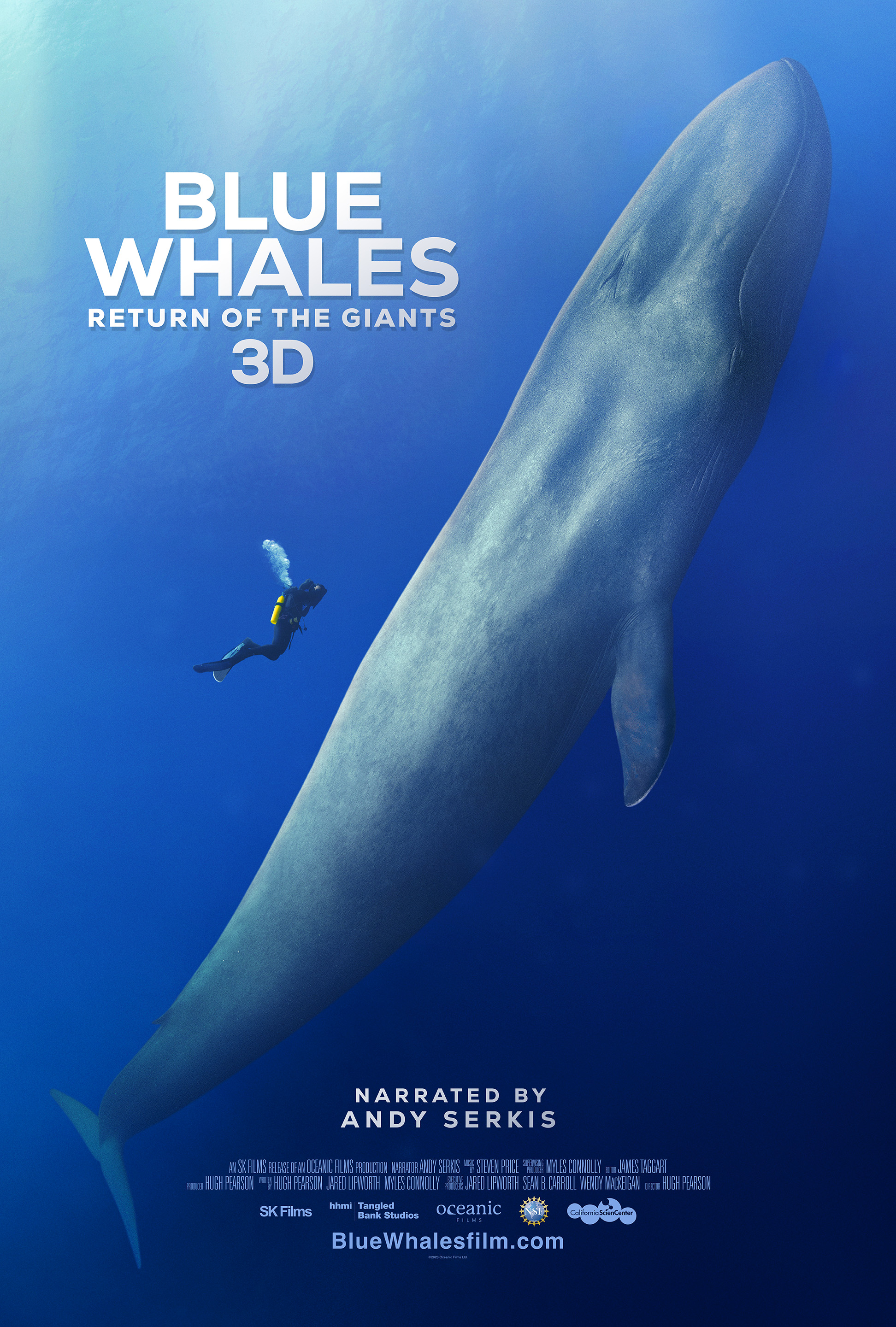 Blue Whales movie poster featuring diver alongside giant blue whale in the ocean.