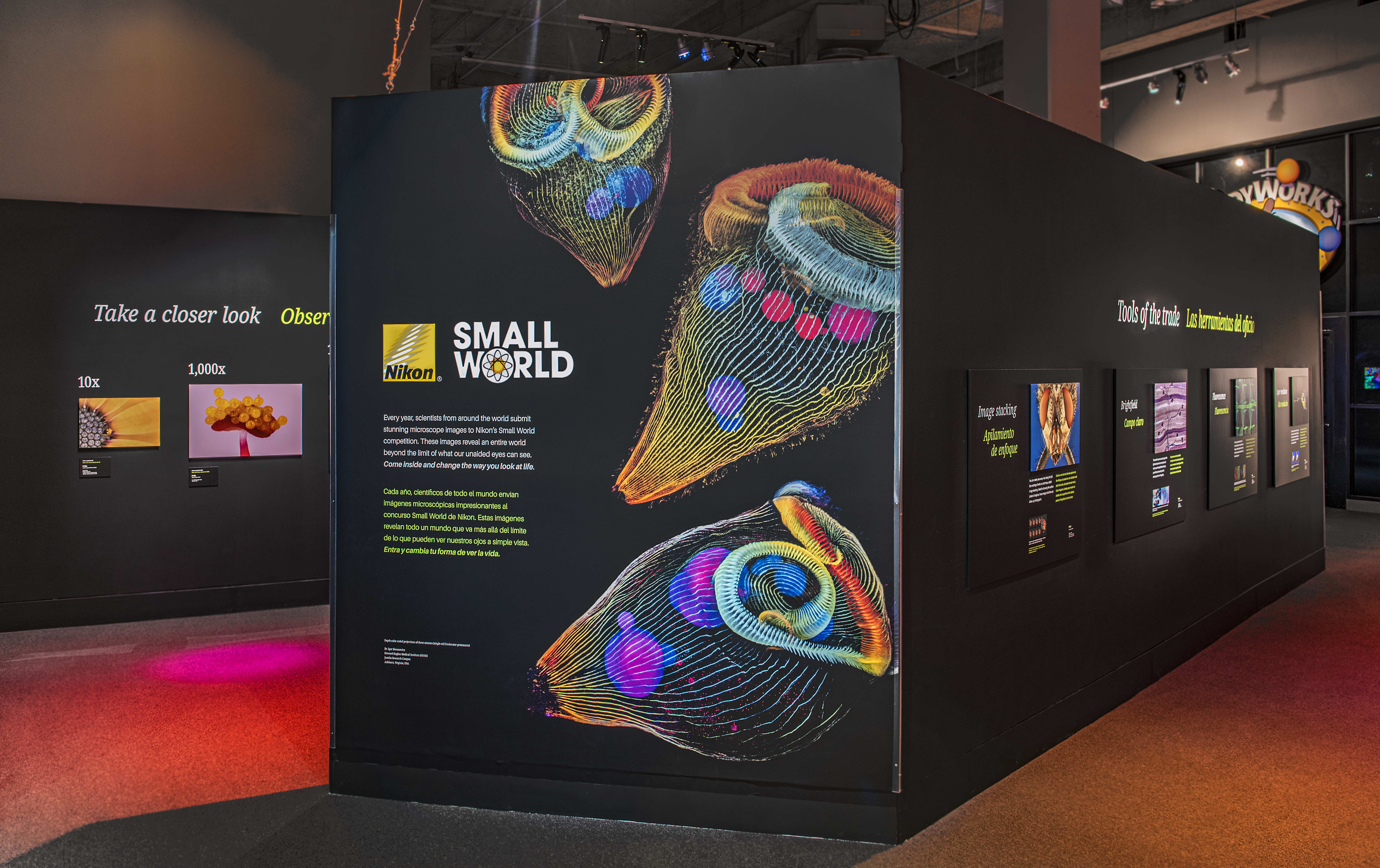 Introductory wall for the Nikon Small World Exhibit.