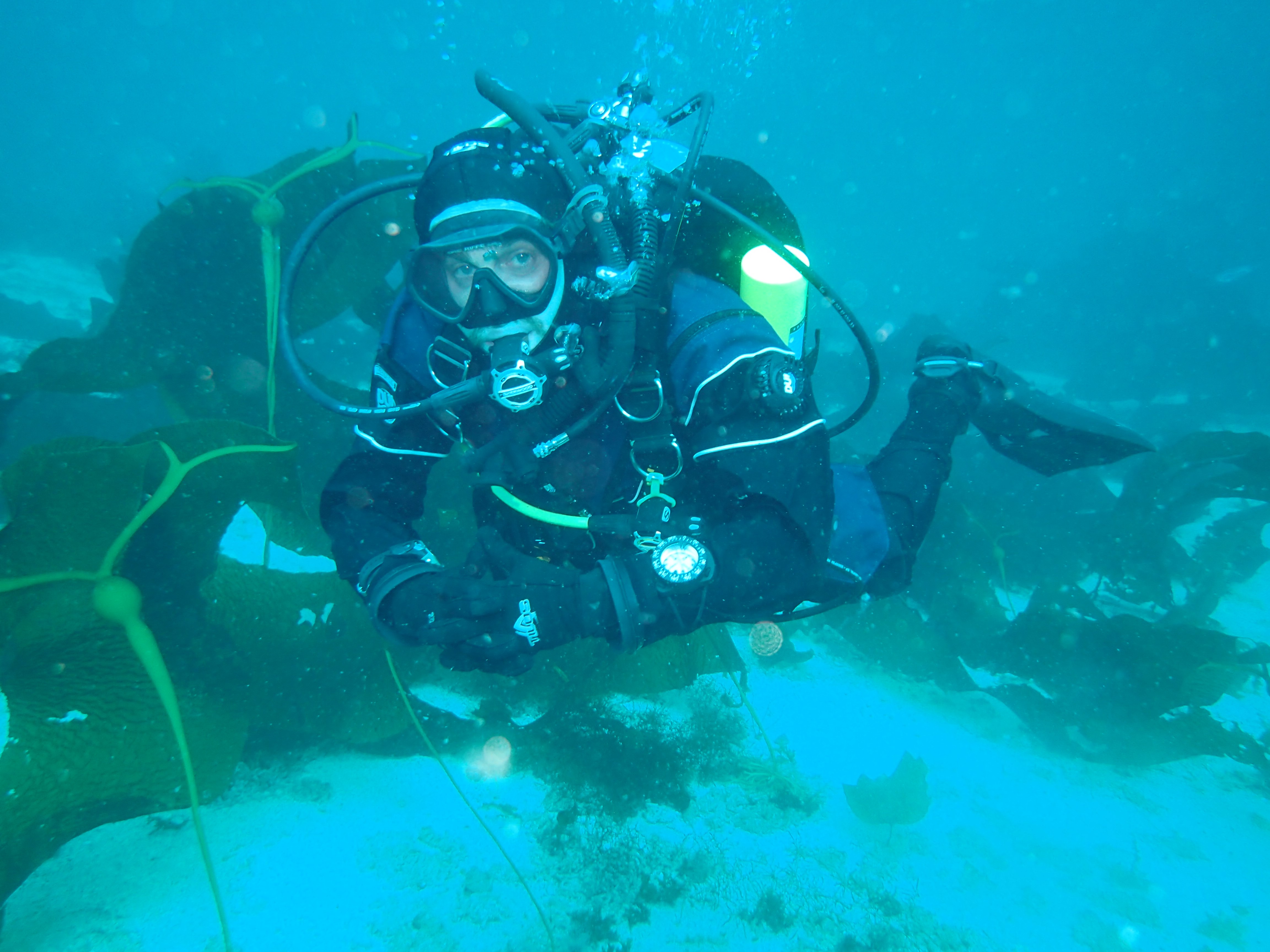 Marine Operations Manager diving