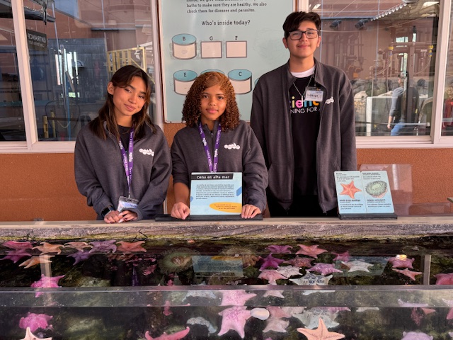 Three Community Teen Interns standing at Touch Tank