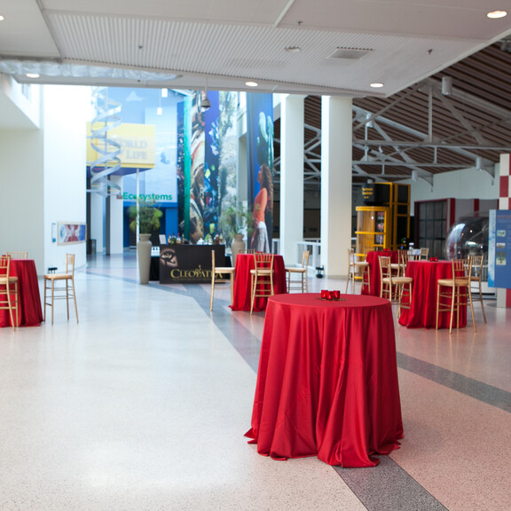 Red cocktail tables with tall wooden chairs throughout Disney Court cocktail reception