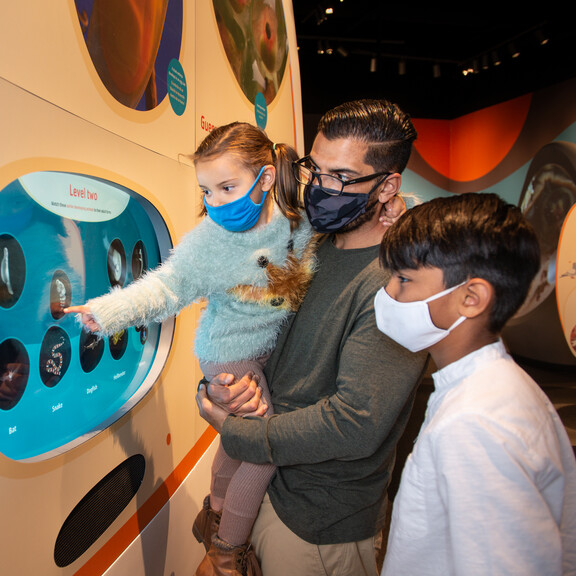 Guests play with an embryo interactive in the Life! Beginnings exhibition
