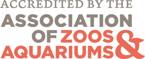 Association of Zoos and Aquariums logo with the words "Accredited by the" near the top