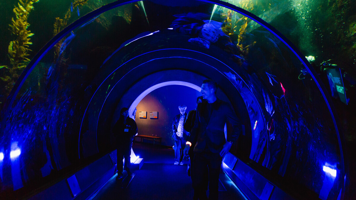Event guests enter kelp forest tunnel lit in electric blue