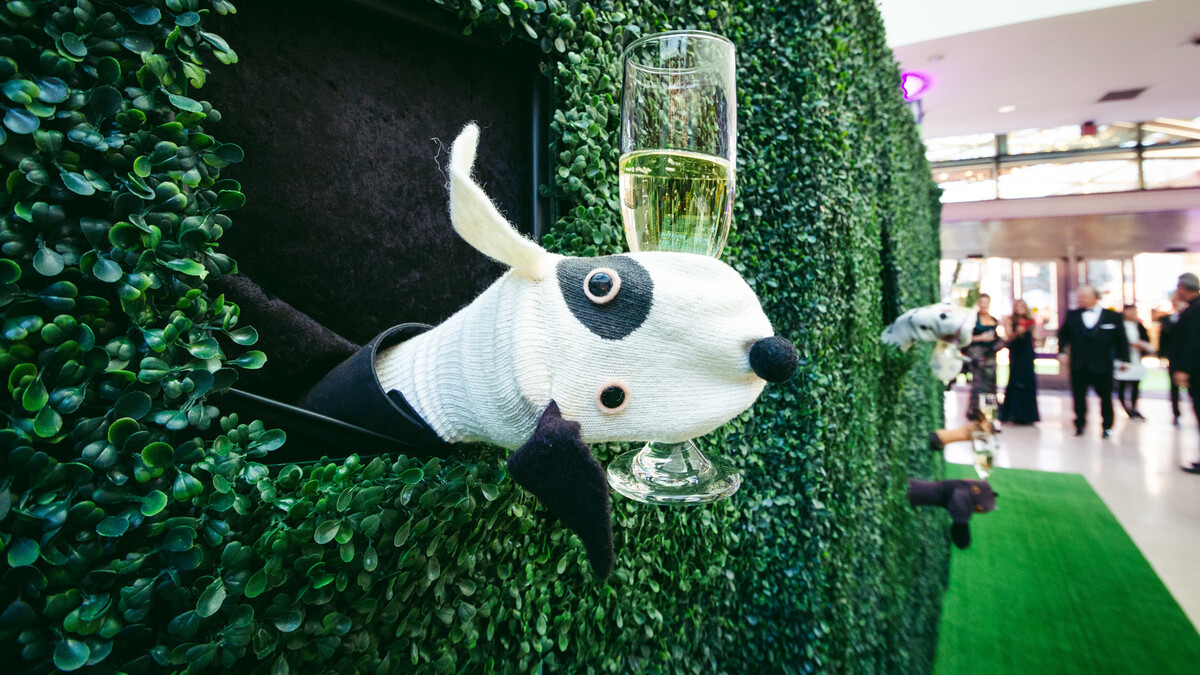 A caterer's hand dressed in a handmade dog puppet sticks out of hedge wall, holding a champagne glass as-if the glass is in the dog's mouth 