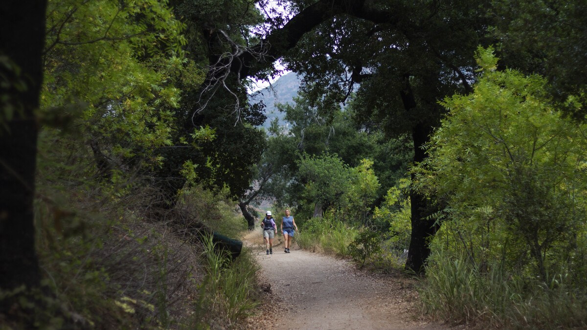 Two hikers walk on forest path with trees and bushes flanking either side of the dirt trail