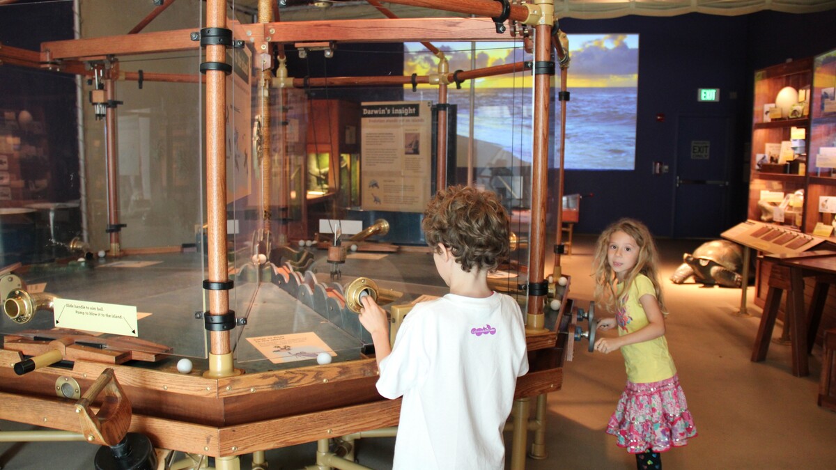 Two kids try to get ping-pong-ball "seeds" to an "island" in a hands-on exhibit.