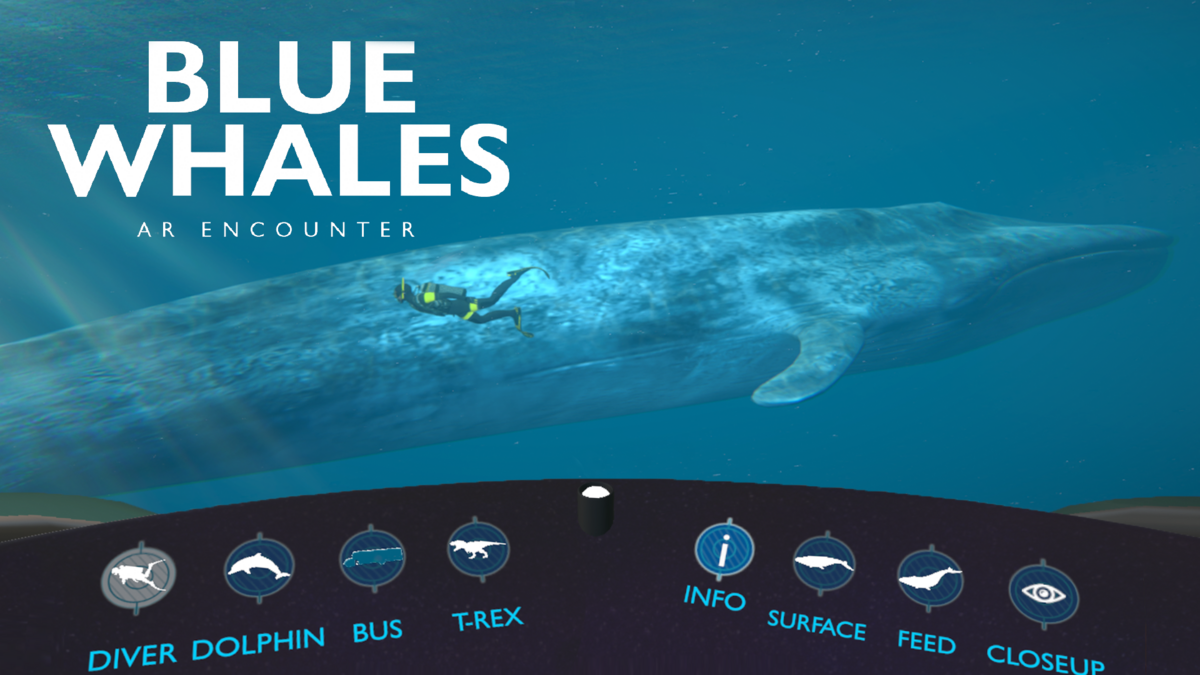 Blue Whales AR Encounter