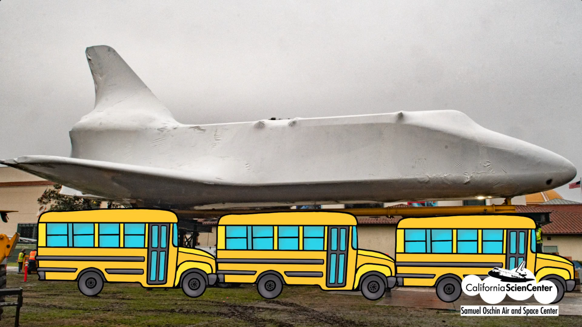 Endeavour length compared with 3 school buses for size reference